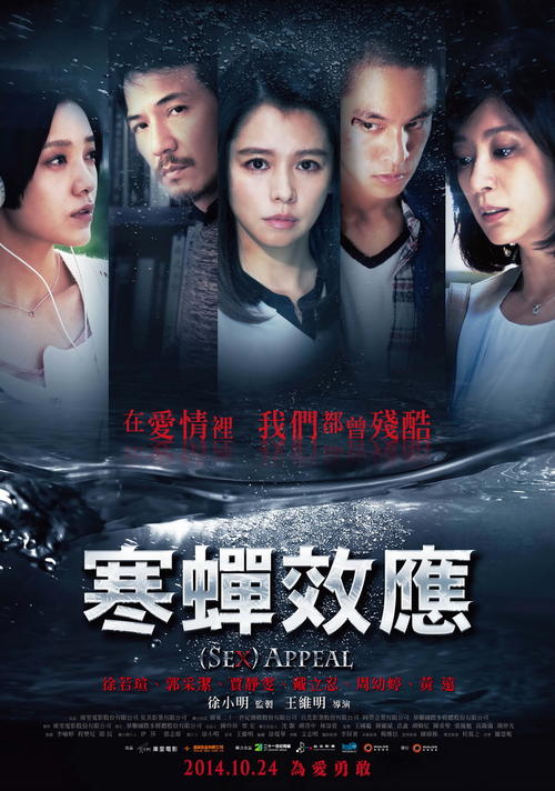 湘南工科大学会计文凭证书